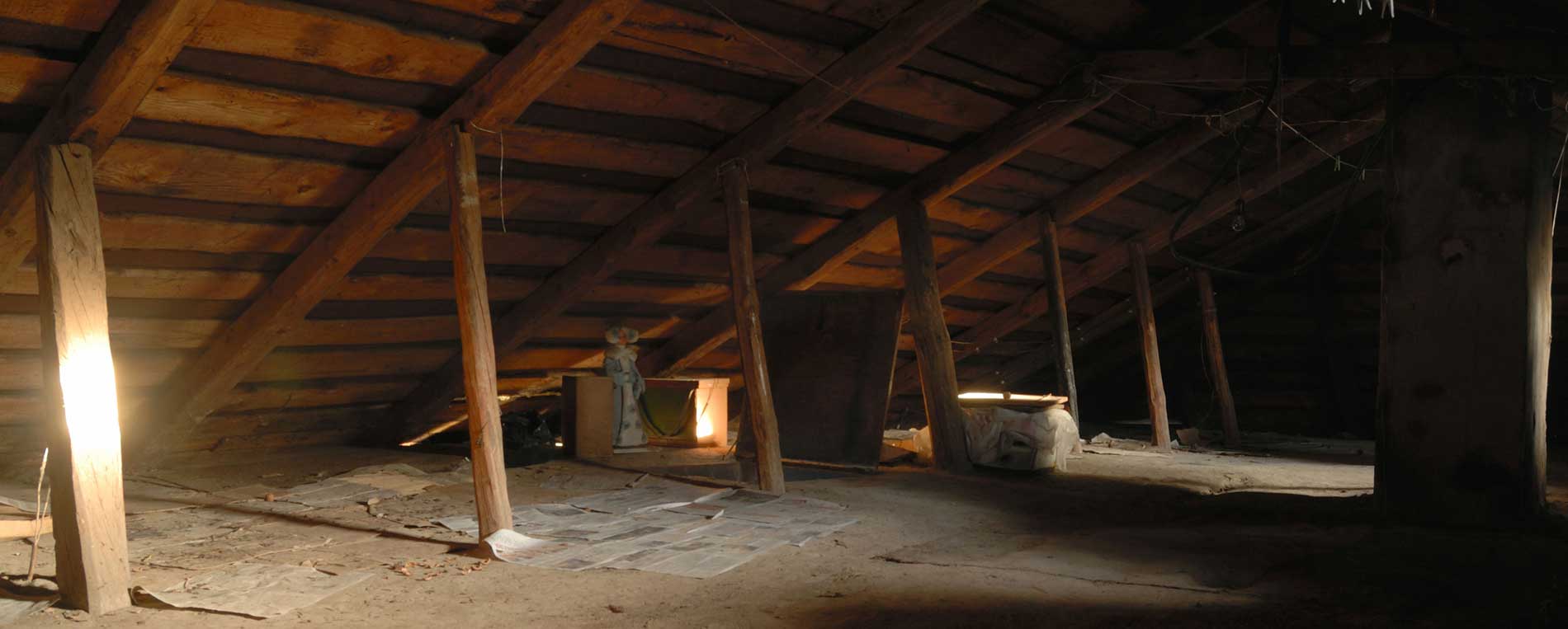 Attic Cleaning Orange, CA